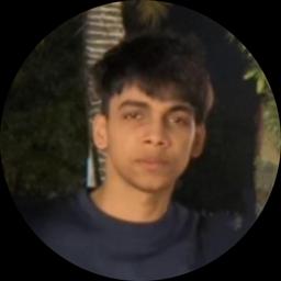 Software Developer