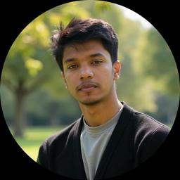 Software Developer